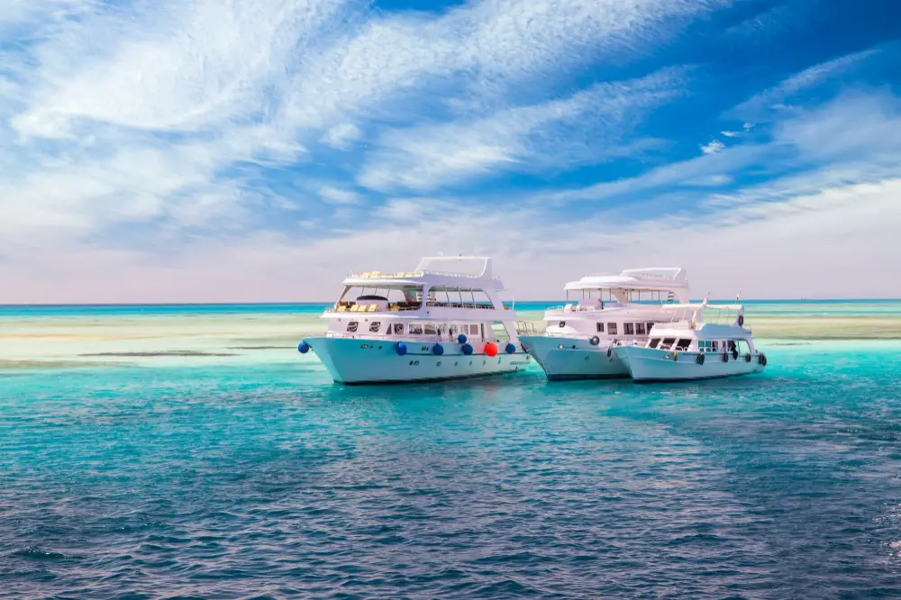 From One Trip to a Full Package Lineup: How to Expand Your Offerings
