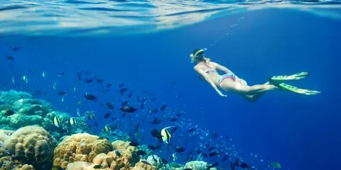 Paid Ads: Are They Worth It for a Small Tourism Business?