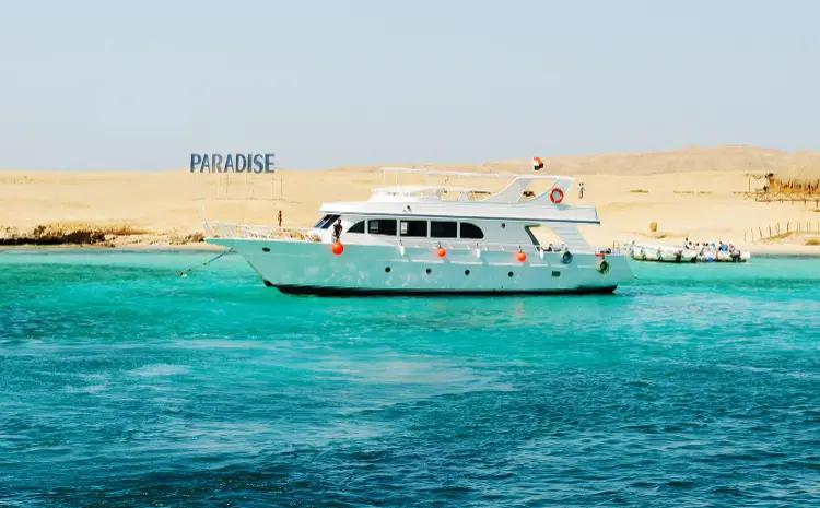 Financial Fundamentals Every Tourism Business Owner Must Know